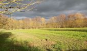 Trail Walking Perche en Nocé - vieux colonard  - Photo 1