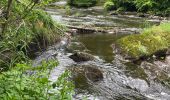 Trail Walking Monschau - Tour de Monschau 20Km - Photo 11