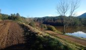Trail Walking Fréjus - malpasset, l'Avellan - Photo 3