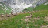 Excursión Senderismo La Chapelle-d'Abondance - CORNETTES DE BISE: LAC DE DARBON - Photo 13