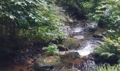 Trail Walking Gérardmer - autour de gérardmer  - Photo 5