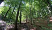 Tour Wandern Grez-Doiceau - GRP127/GR579: de Pécrot à Genval - Photo 3