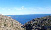 Tocht Stappen Cadaqués - cadaques . sa planassa . far de cala nans . cadaques  - Photo 5