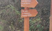 Trail Walking Valbonne - GR653A- Contrôle 20-12-2023 - Photo 1