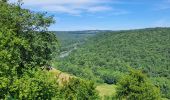 Trail Walking Bouillon - la balade des points de vue n 1 - Photo 7