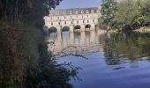 Trail Walking Chenonceaux - Chenonceaux - Photo 7