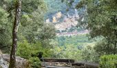 Randonnée Marche Vézac - Château de Marqueyssac - Photo 5