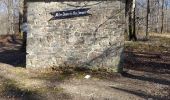 Trail Walking Saint-Hubert - Marche ADEPS Arville - Photo 5