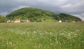 Tocht Te voet Poppenhausen - Rhön-Rundweg 9 Wachtkueppel - Photo 7