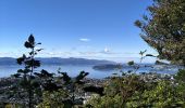 Excursión A pie Unknown - Hutt Road shared path - Wellington to Johnsonville - Photo 8