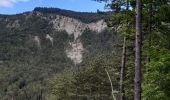 Trail Walking Die - Col de Bergu  - Photo 2