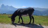 Tour Wandern St. Ulrich in Gröden - Raschötz Alm - Photo 9