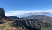 Trail Walking Mazaugues - Plateau d'Agnis, au dessus de Mazaugues - Photo 1