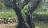 Randonnée Marche Sanary-sur-Mer - le gros cerveau - Photo 2