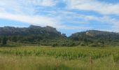 Randonnée Marche Maussane-les-Alpilles - Tour du Geand Mejean - Photo 2