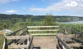 Randonnée A pied Greifensee - Schwerzenbach - Uster - Photo 6