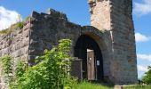 Tocht Stappen Labaroche - Autour du château du Petit Hohnack - Photo 9