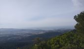 Tocht Noords wandelen Toulon - château vallon  - Photo 2