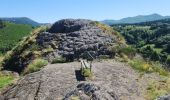 Randonnée Trail La Bourboule - la bourboule,  le vendeix, la roche de l'aigle  - Photo 2