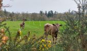 Tour Wandern Le Cours - PR_56_Le-Cours_AA_01_Circuit1b_De-La-Chapelle-De-Priziac_20240406 - Photo 5