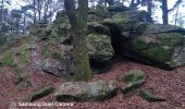 Tocht Stappen Trois-Ponts - GR 5 EN BOUCLE LIEGE TOME 2 rando 29 14km - Photo 2