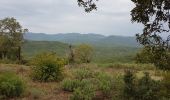 Randonnée Marche Roquebrune-sur-Argens - LES ISSAMBRES - LE VALLON DE LA GAILLARDE - Photo 13