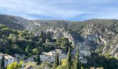 Tocht Stappen Oppède - PF-Oppède-le-Vieux - Sentier vigneron - Forteresse et Collégiale - Photo 14