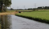 Randonnée A pied Zwolle - WNW IJsseldelta - Wijthmen -paarse route - Photo 8