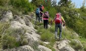 Trail Walking Massoins - Pointe des 4 cantons - Photo 20