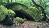 Tour Wandern Dourbies - St Guiral par la Rouvière - Photo 1