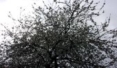 Tour Wandern Saint-Pierre-des-Fleurs - 20240409-StPierre des Fleurs Cool - Photo 5