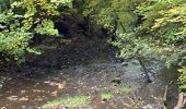 Randonnée Marche Martelange - Dans l’intimité d’une forêt  - Photo 3