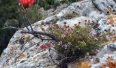 Percorso Marcia Tolone - SityTrail - 4 Chemins des Routes - Le Croupatier - Le Broussan - Col du Corps de Garde - Photo 4