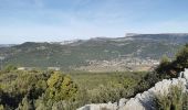 Tour Wandern Le Castellet - Les crêtes de Cuges les Pins - Photo 8