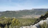 Tocht Stappen Le Castellet - Les crêtes de Cuges les Pins - Photo 8