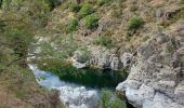 Tocht Stappen Pont de Montvert - Sud Mont Lozère - arsel du pt de montvert a bedoues - Photo 2