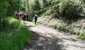 Trail Walking Asson - ASSON Igon Touyas de Capsus 