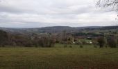 Trail Walking La Roche-en-Ardenne - Samree 131120 - Photo 3