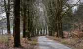 Tour Zu Fuß Libramont-Chevigny - Remagne étang gpx - Photo 4