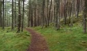 Trail On foot Unknown - Lion's Face & Cromlins - Photo 10