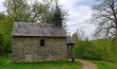 Tocht Stappen Doische - De Gochenée à Vodelée par la vallée de l'Hermeton - Photo 13