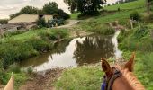 Trail Horseback riding Reherrey - Randonnée reherey Marion uccello - Photo 7