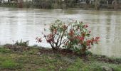 Tour Wandern Chennevières-sur-Marne - J 18 12 km Pont de Chennevières - Photo 4