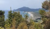 Trail On foot Bay of Islands-Whangaroa Community - Te Araroa - 01 Northland - g Waikare to Whangarei Heads - Photo 3