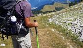 Tour Wandern Châtillon-en-Diois - 26 Chatillon-en-Diois - Sommet de la Montagnette par le Vallon de Combeau - Photo 1