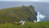 Tocht Te voet Kenmare Municipal District - Bray Head Loop - Photo 4