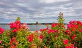 Trail Walking Camaret-sur-Mer - Boucle découverte Camaret village 6km - Photo 2