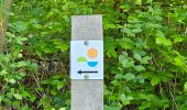 Tour Wandern Goesdorf - Goebelsmühle - Bourscheid - Dirbach - Photo 2