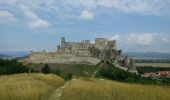 Excursión A pie okres Nové Mesto nad Váhom - Náučný chodník Sychrov - Photo 2