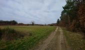 Trail Walking Noyant-de-Touraine - Noyant-de-Touraine - PR - 14.5km 170m 3h15 - 2021 02 20 - Photo 3